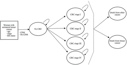 CPM - borstoperatie grafiek